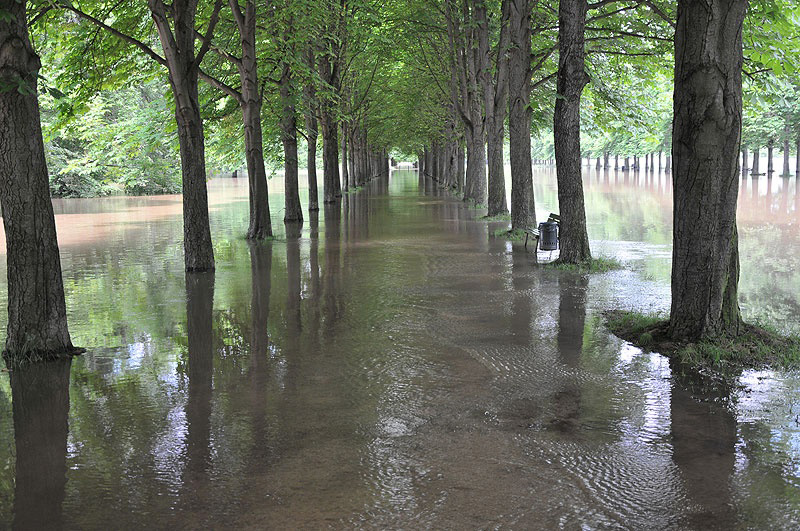 Hochwasser (188).jpg - SZ-Online